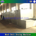 Mesh Belt Drying Equipment for Cushaw